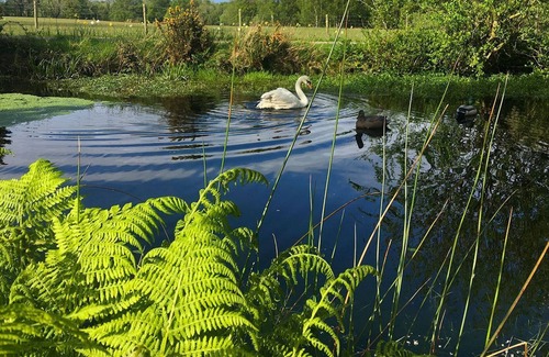 Ballaugh Cottage | 1 bedroom accommodation in Ballaugh