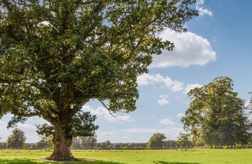 Palgrave Cottage | 1 bedroom accommodation in Palgrave, near Diss