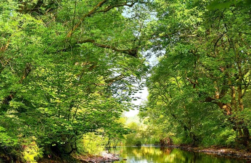 Colmonell Cottage | 1 bedroom accommodation in Colmonell, near Ballantrae