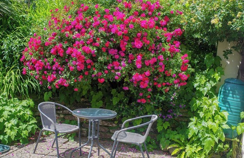 Porth Cottage | 1 bedroom accommodation in Porth, near Newquay