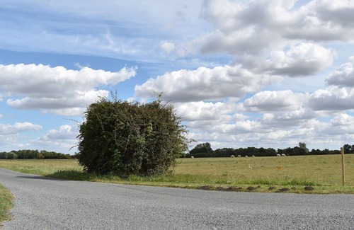 Eye Cottage | 1 bedroom accommodation in Mellis, near Eye