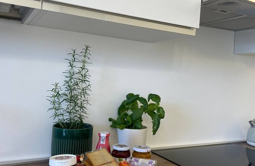 Quartiere XXIV Don Bosco Apartment | 1 bedroom apartment in rome