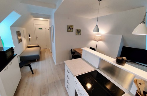 Hovedgard Apartment | 1-Bedroom Apartment With Private Park - Provstegården Bed & Breakfast
