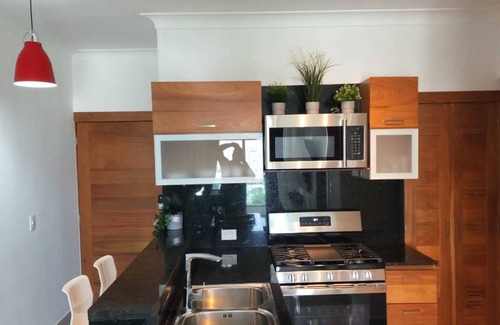 La Julia Apartment | 1- bedroom apt paradise in Santo Domingo