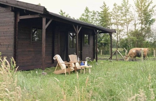 Oosterwolde Cabin | 1 bedroom cabin in oosterwolde