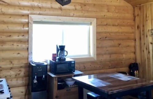 Del Norte Cabin | 1-bedroom cabin just a short walk to Rio Grande