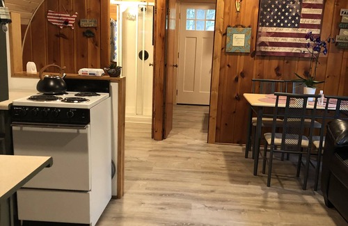 Newaygo Cabin | 1-bedroom cabin near Huron-Manistee National Forest