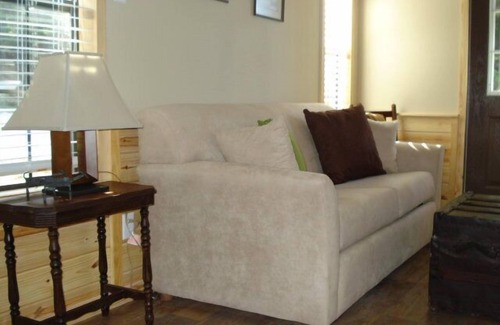 Rainbow Cabin | 1 bedroom cabin, sleeps four. Pet friendly. Property is on Brazos River.