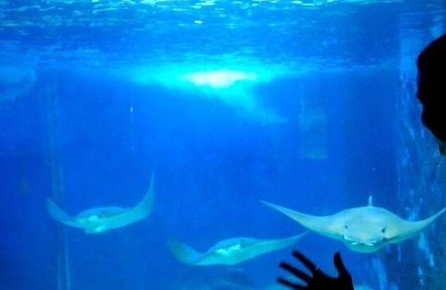 Maranduba Ski Chalet | 1 Bedroom Chalet / Cottage '50M FROM THE SEA' - UP TO 6 PEOPLE - AIR CONDITIONING