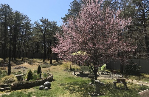 North Truro Apartment | 1 bedroom garden apartment