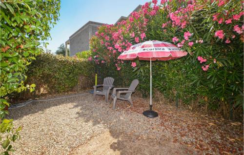 Venzolasca House | 1 Bedroom Gorgeous Home In Venzolasca