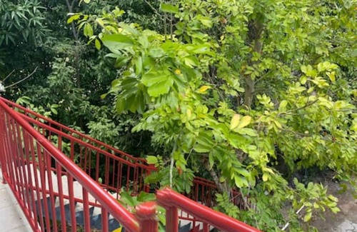 Great Mountain Apartment | 1 Bedroom Private Studio Apartment