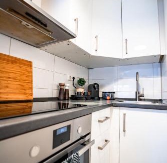 Wiesbaden Apartment | 1 BR Apartment - ZENTRAL - BUSINESS - WIFI - KÜCHE - NETFLIX - PARKHAUS