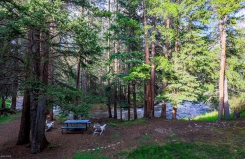Old Town Condo | 1 BR sleeps 5. Walk to the Gondola! Woods & Fraser River off the back deck.