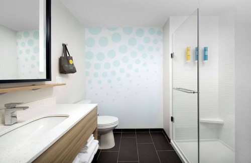 Florida Central Atlantic Coast Hotel | 1 King Bed | Tru by Hilton Orlando | with Free Breakfast & Pet-friendly