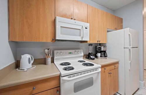 Temple Terrace Condo | 1 MI to USF, Free Pool, GYM!