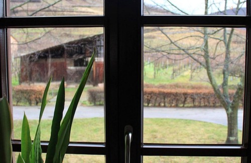 Ammerschwihr Apartment | 1-pied des Vosges, Plein Sud, Coeur du Vignoble, Confortable, Calme,wifi Gratuit