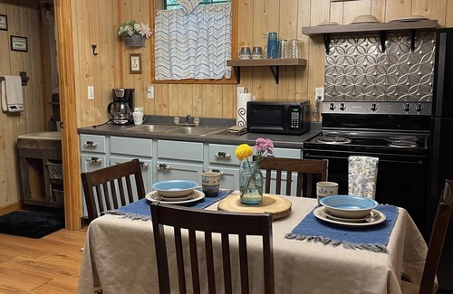 Cosby Cabin | 1 Playful Cub-GREAT unbelievable rates, check it out