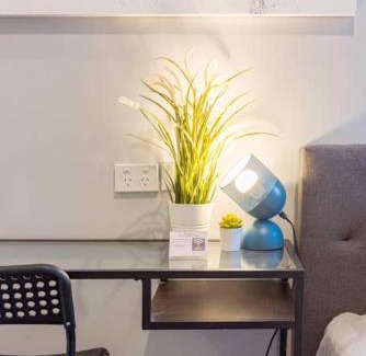Surry Hills House | 1 Private King Single Bed With En-Suite Bathroom In Sydney CBD Near Train UTS DarlingHar&ICC&C hinatown - ROOM ONLY