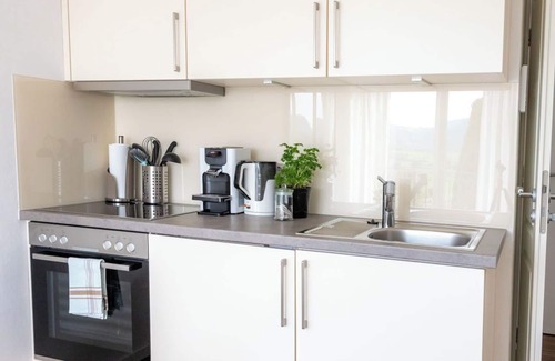 Klettgau Apartment | 1-room apartment, 19 m², balcony, high-quality furnishings