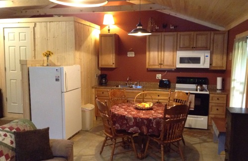 Hico Cabin | 1 room cabin Fern Creek Cabins @ New River Gorge White Water Hiking Hot tub. nnn