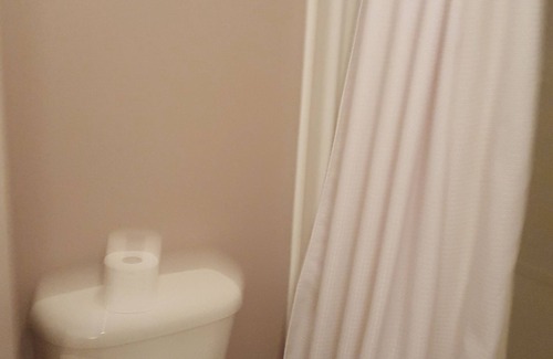 Waterloo House | 1 room fo Female Only Prefered Student, or professional studying/working