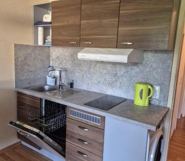 Sankt Englmar Apartment | 1-Zimmer-Apartment mit Balkon, kostenloser Schwimmbadnutzung und Blick ins Grüne