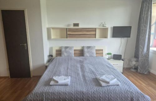 Sankt Englmar Apartment | 1-Zimmer-Apartment mit Balkon, kostenloser Schwimmbadnutzung und Blick ins Grüne