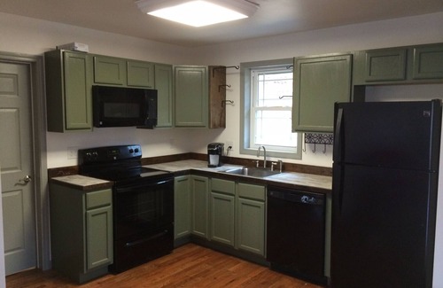 Plumtree Cabin | 10/2024 - OPEN - power, internet, water, access