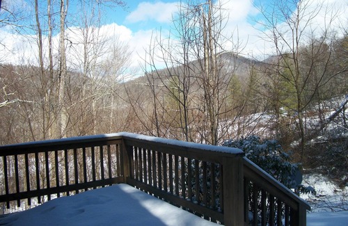 Plumtree Cabin | 10/2024 - OPEN - power, internet, water, access