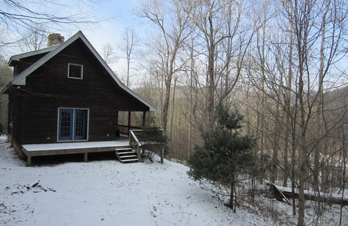 Plumtree Cabin | 10/2024 - OPEN - power, internet, water, access