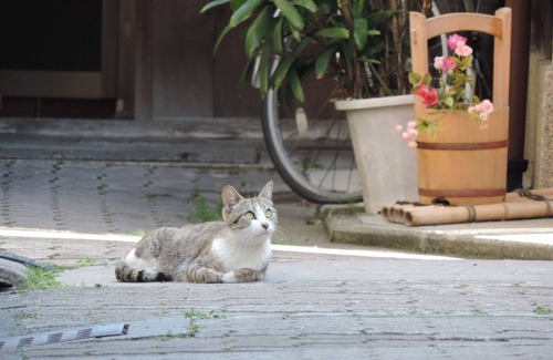 Sannenzaka Ninenzaka House | ≪10 min to Gion≫ "Bairin-an" Perfect For Two