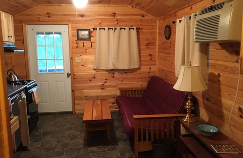 Galeton Cabin | 10 minutes to Cherry Springs Star gazing and Dark Skies