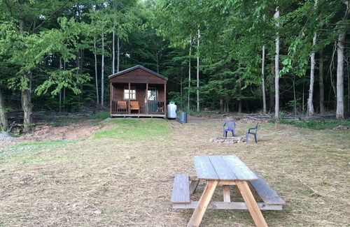 Galeton Cabin | 10 minutes to Cherry Springs Star gazing and Dark Skies