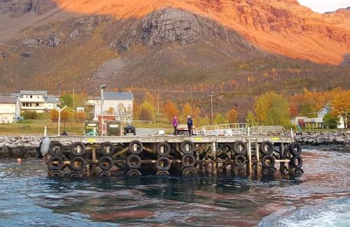 Kvaenangen House | 10 person holiday home in Reinfjord-By Traum