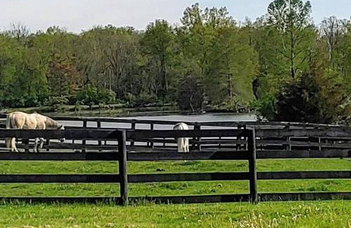 Lebanon Apartment | 102 Acre Pet Friendly Horse Farm! Bring your horse too!