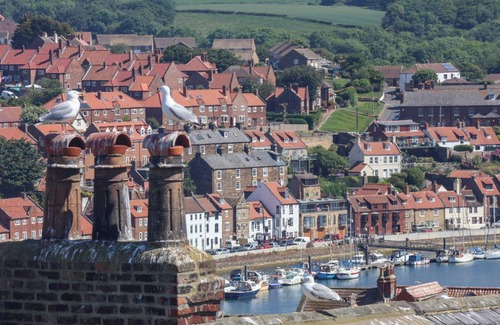 West Cliff Cottage | 105 m² Cottage ∙ 2 bedrooms ∙ 4 guests