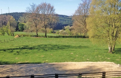 Walk House | 11 bedroom nice home in Waimes