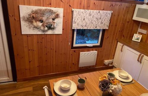 Cenarth House | 11 Tan-y-coed Woodland Lodge