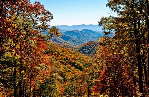 Gatlinburg - Pigeon Forge Condo | 112 m² Condo ∙ 2 bedrooms ∙ 4 guests