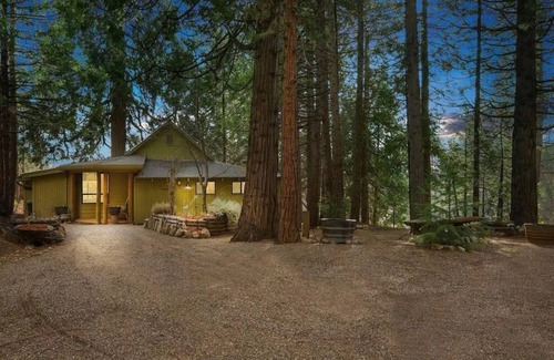 Glencoe Cabin | 114 acres! Wooded Serenity - Gold Camp Green Cabin