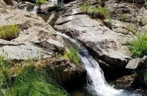 Glencoe Cabin | 114 acres! Wooded Serenity - Gold Camp Green Cabin