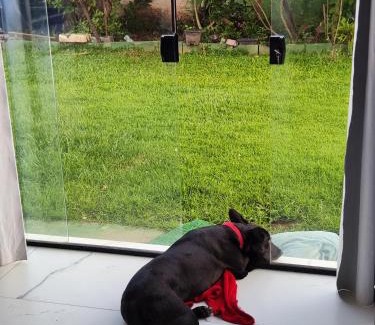 Jardim Aruan House | 11Suites casa Suite #5