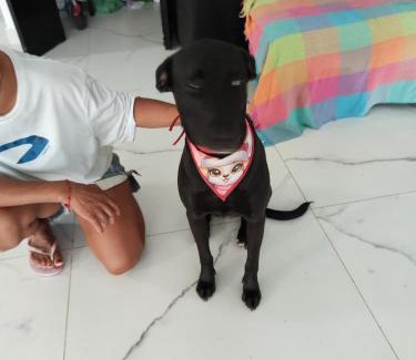 Jardim Aruan House | 11Suites casa Suite #5