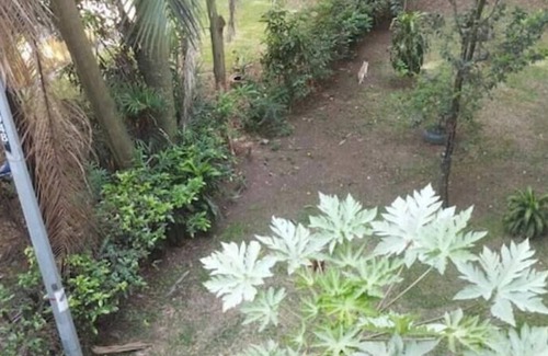 Cali Apartment | 12+12 department