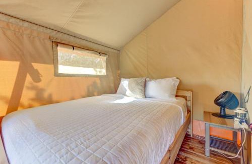 Johnson City Other | 12 Fires Luxury Glamping #2
