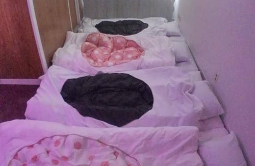 Nishinomaru Cho Hotel | 12 m² Hotel ∙ 1 bedroom ∙ 3 guests
