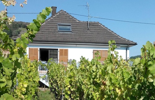 Kientzheim Cottage | 12 Person House - Gite du WEINBAECHLE