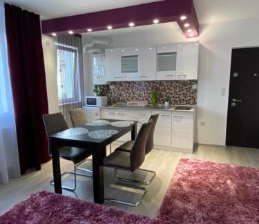 Cavnic Apartment | 12 RESIDENCE APARTMENT