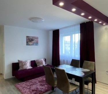 Cavnic Apartment | 12 RESIDENCE APARTMENT